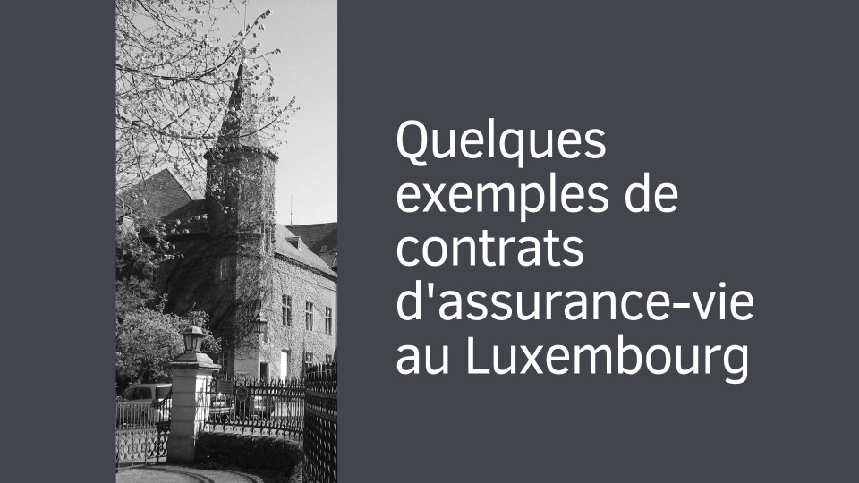quelques-exemples-de-contrats-assurance-vie-luxembourg