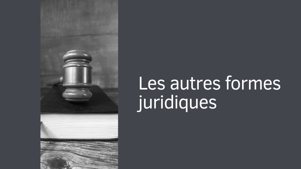 Les autres formes juridiques pour créer une société aux USA