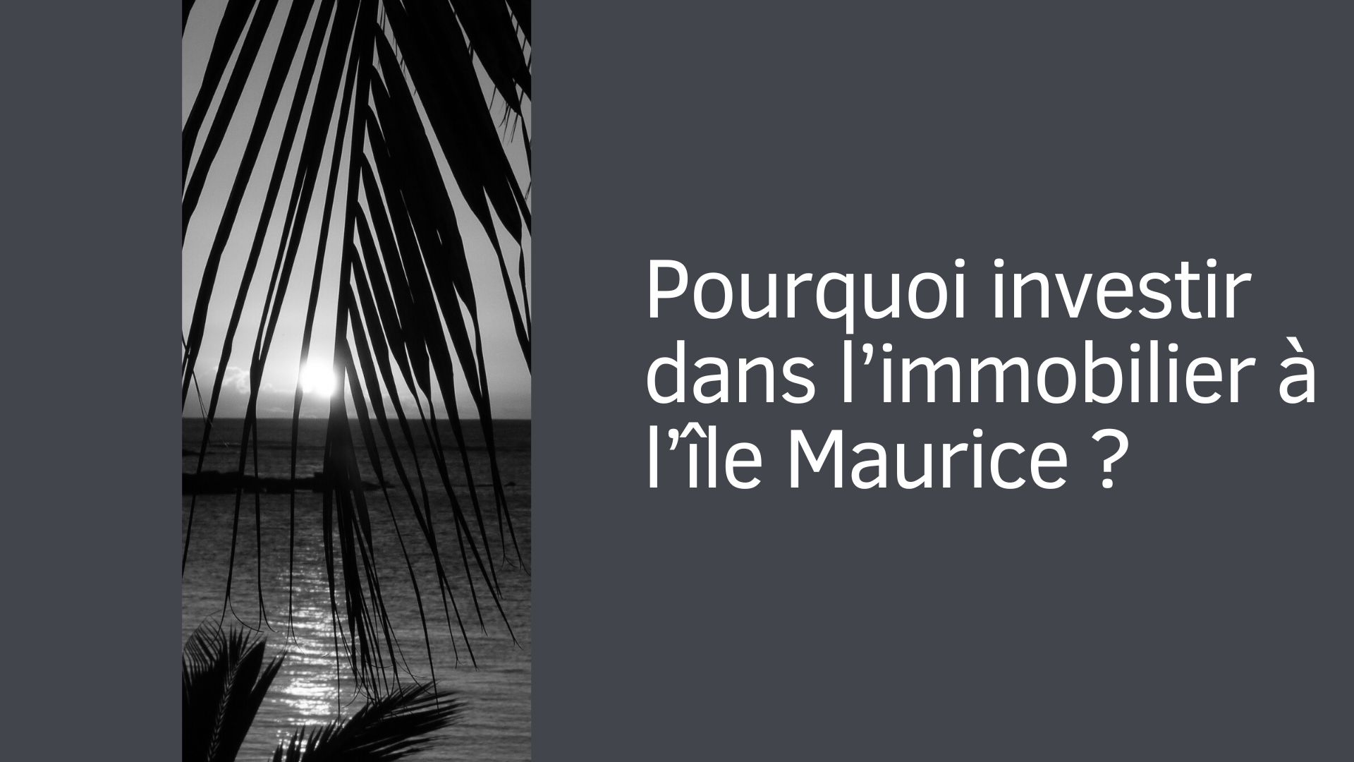 Pourquoi investir dans l'immobilier à l'île Maurice ?