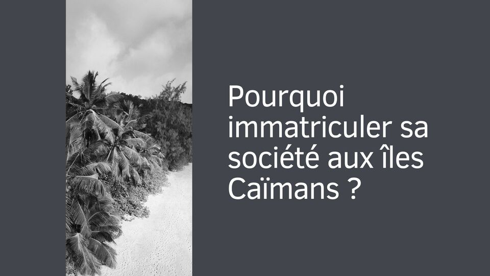 Pourquoi immatriculer sa société aux îles Caïmans ?