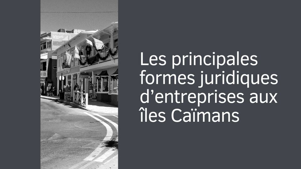 Les principales formes juridiques d’entreprises aux îles Caïmans