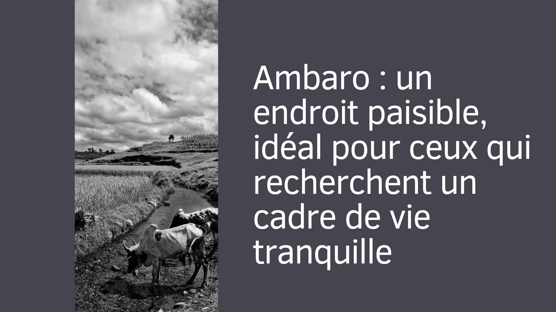 Ambaro : un endroit paisible, idéal pour ceux qui recherchent un cadre de vie tranquille