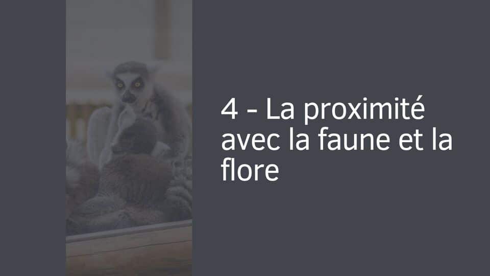 4 - La proximité avec la faune et la flore
