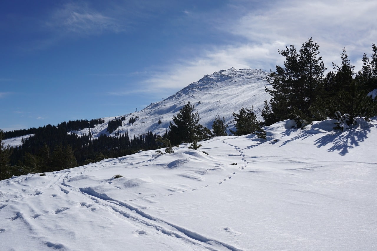 Montagne Vitosha en Bulgarie
