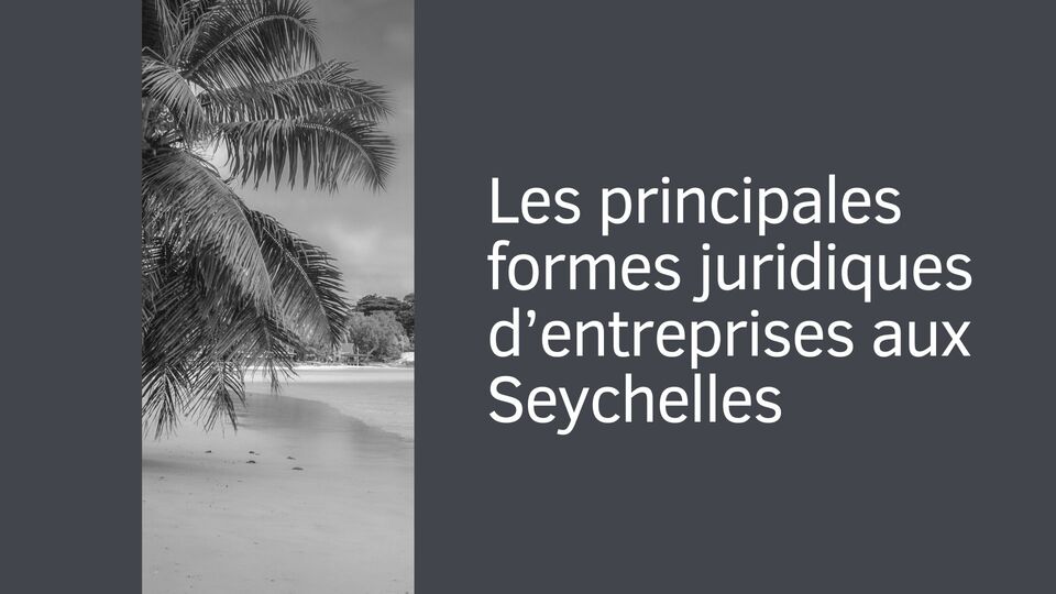 Les principales formes juridiques d’entreprises aux Seychelles