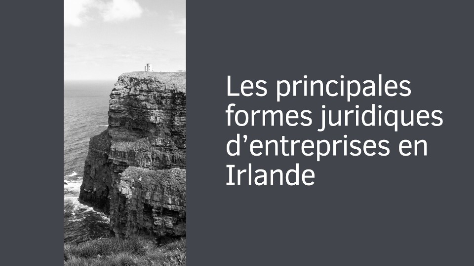 Les principales formes juridiques d’entreprises en Irlande