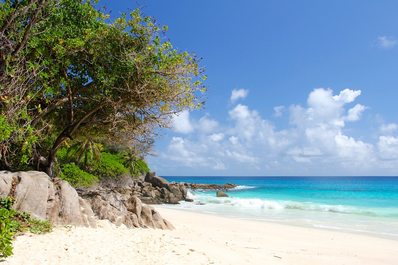 Créer une entreprise aux Seychelles