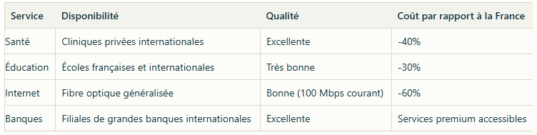 ile-maurice-infrastructures-services-expatries