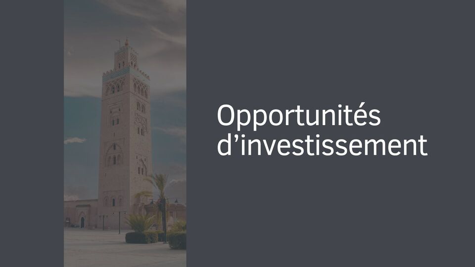 Opportunités d’investissement Opportunités d’investissement