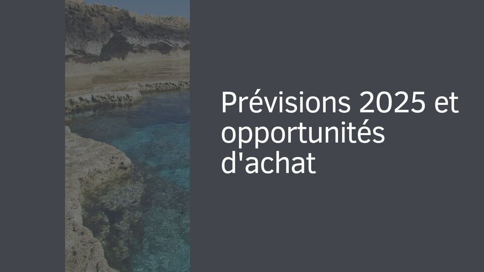 Prévisions 2025 et opportunités d'achat Prévisions 2025 et opportunités d'achat