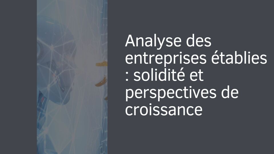 Analyse des entreprises établies : solidité et perspectives de croissance Analyse des entreprises établies : solidité et perspectives de croissance