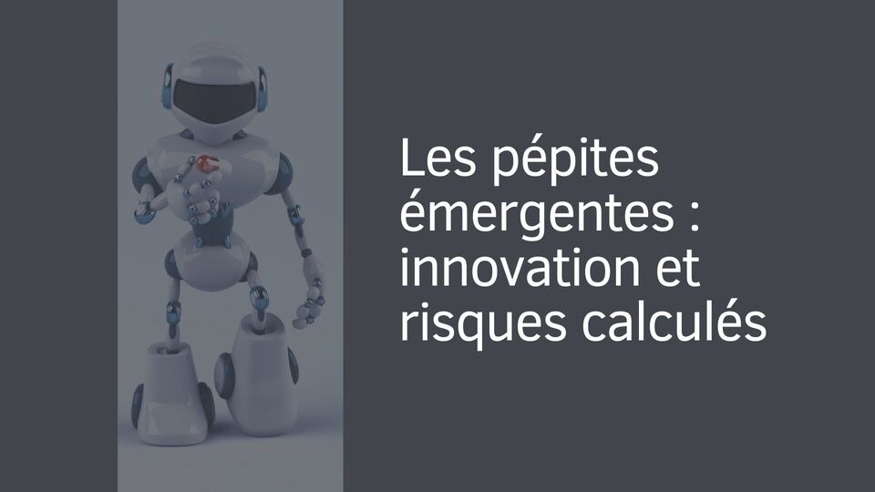 Les pépites émergentes : innovation et risques calculés Les pépites émergentes : innovation et risques calculés