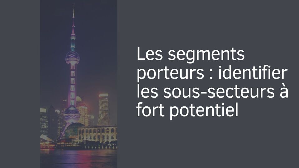 Les segments porteurs : identifier les sous-secteurs à fort potentiel Les segments porteurs : identifier les sous-secteurs à fort potentiel