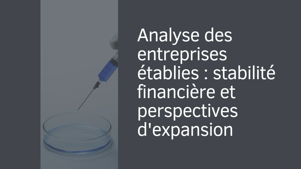 Analyse des entreprises établies : stabilité financière et perspectives d'expansion