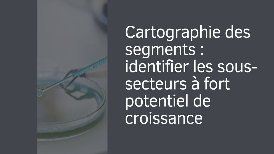 Cartographie des segments : identifier les sous-secteurs à fort potentiel de croissance