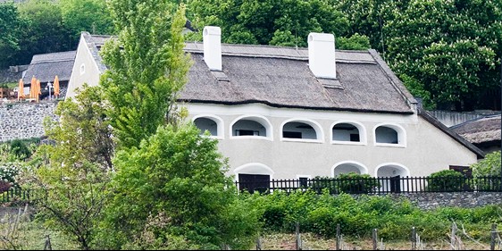 La maison Roza Szegedy