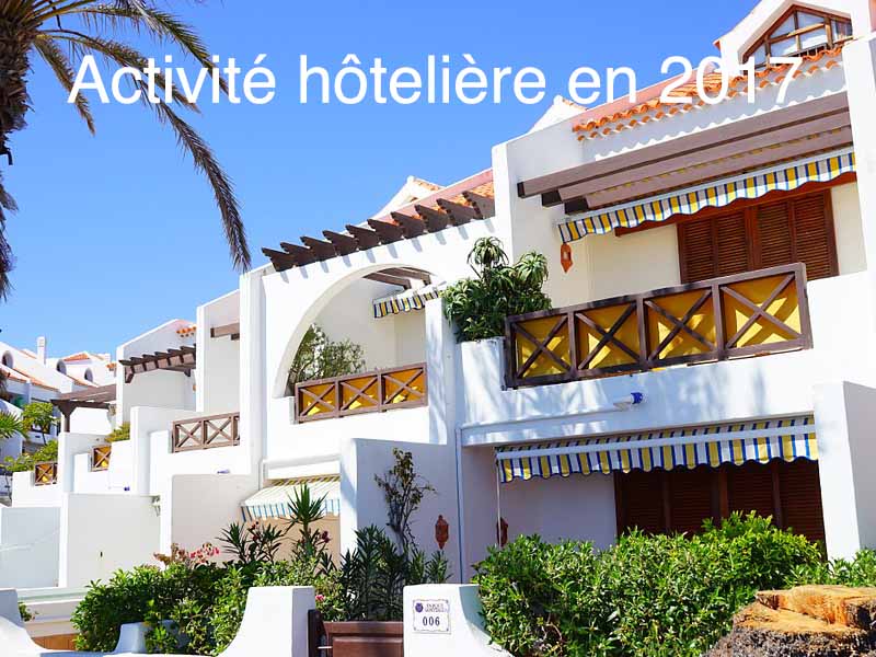 activité hôtelière en 2017