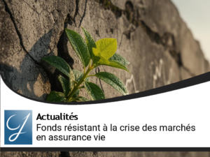 Les fonds de placement qui résistent à la crise des marchés financiers dans vos d&rsquo;assurance vie!