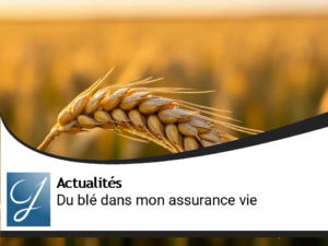 Je veux du blé dans mon placement assurance vie!