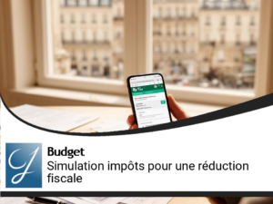 Tu tapes simulation impots et tu auras une réduction d&rsquo;impôt