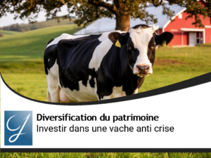 Investir dans une vache, la solution anti crise ?