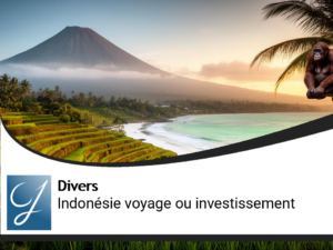 Indonésie pour voyager ou pour investir?