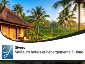 Les meilleurs hotels à Ubud et les logements alternatifs