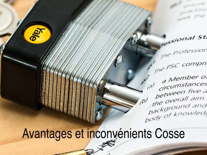 avantages inconvénients loi cosse