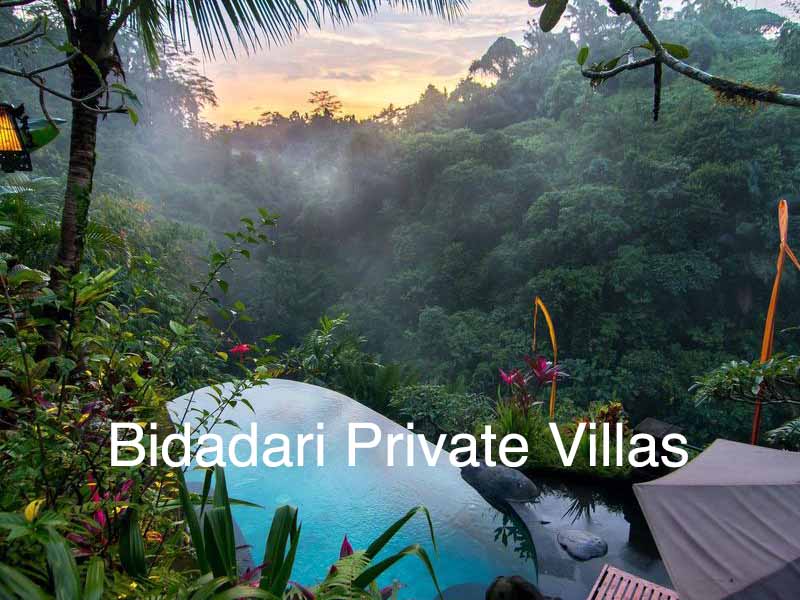 hotel bidadari private villas ubud