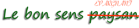bon sens épargnant