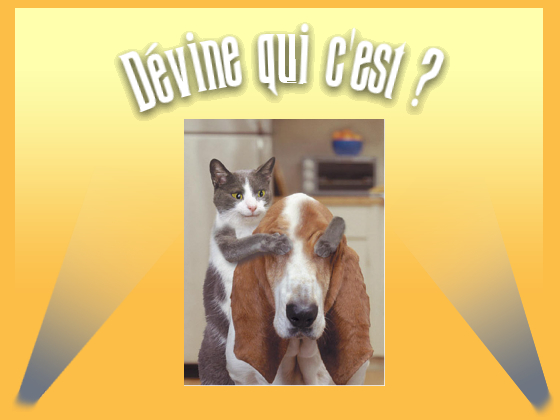 Gestion de patrimoine