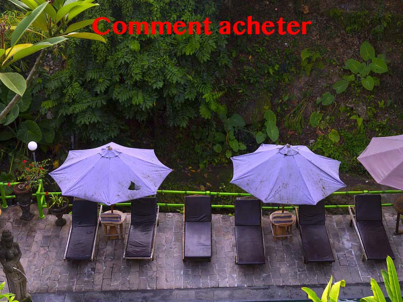 comment acheter bali