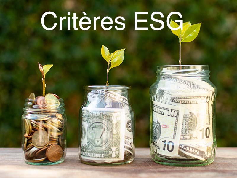 quels critères esg