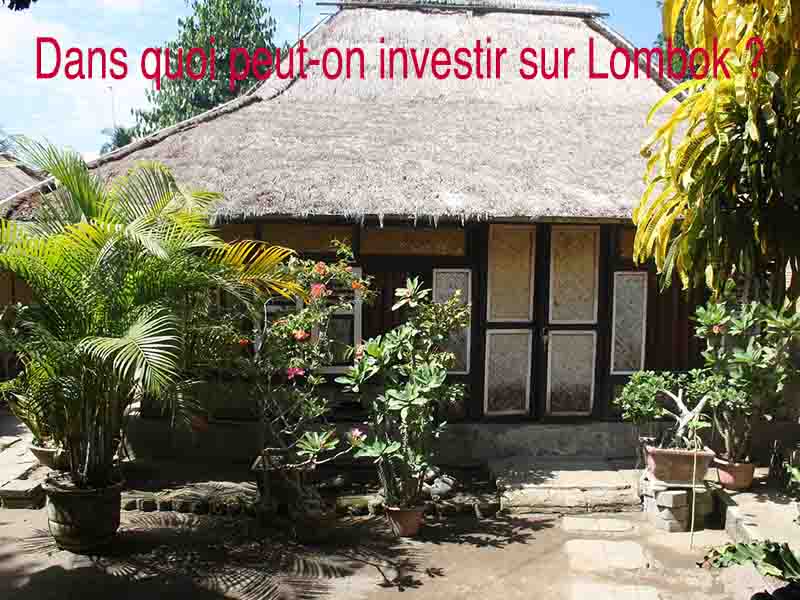 dans quoi investir lombok