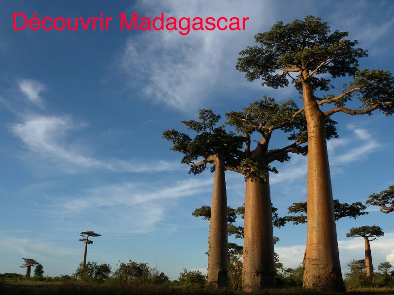 découvrir madagascar