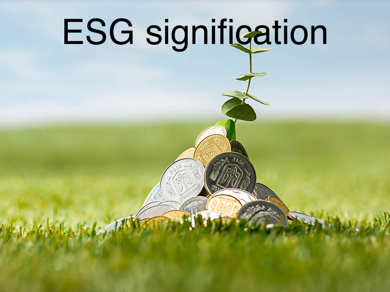 esg signification