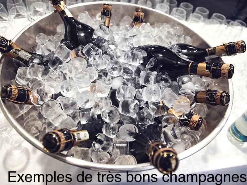exemple meilleur champagne