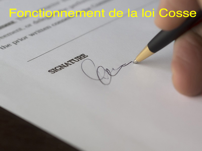 fonctionnement loi cosse