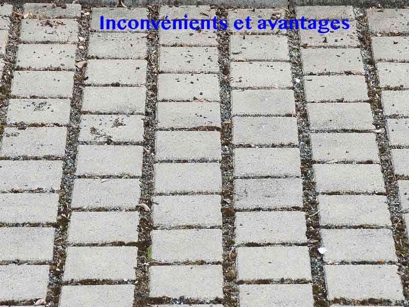 inconvénient avantage parking
