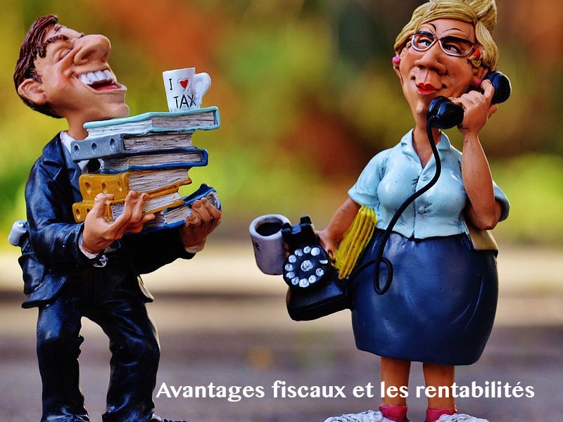 les avantages fiscaux et les rentabilités
