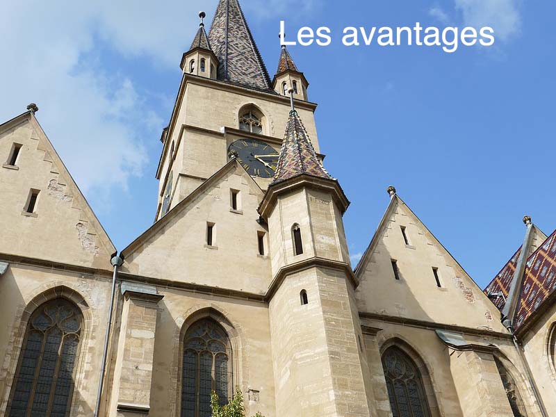 les avantages investir dans la forêt