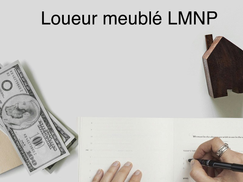 loueur meublé non professionnel