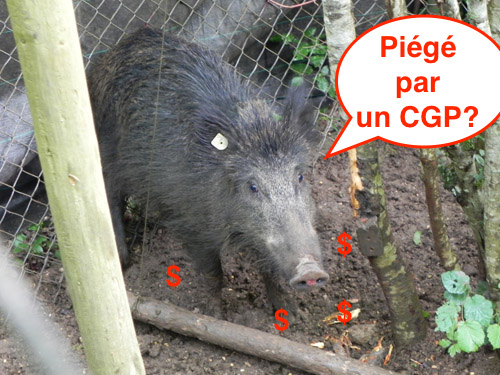 piege cgp