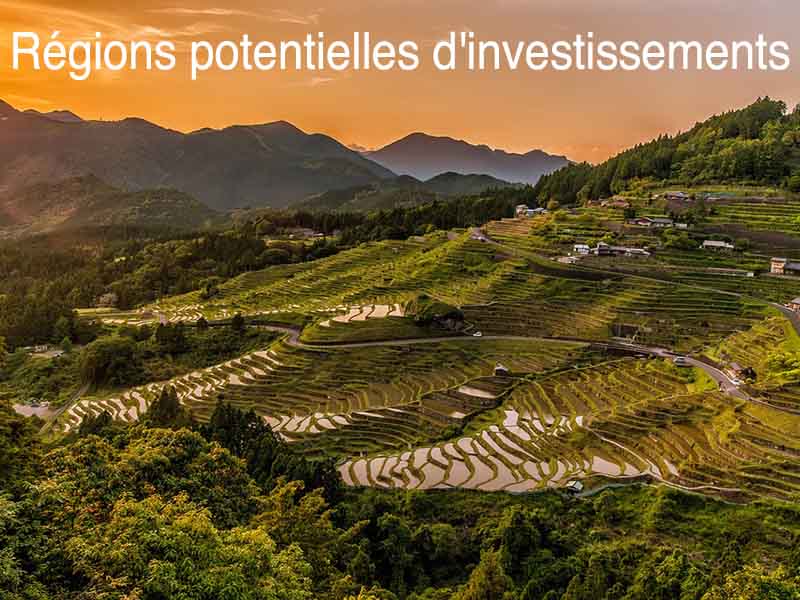région où investir Bali