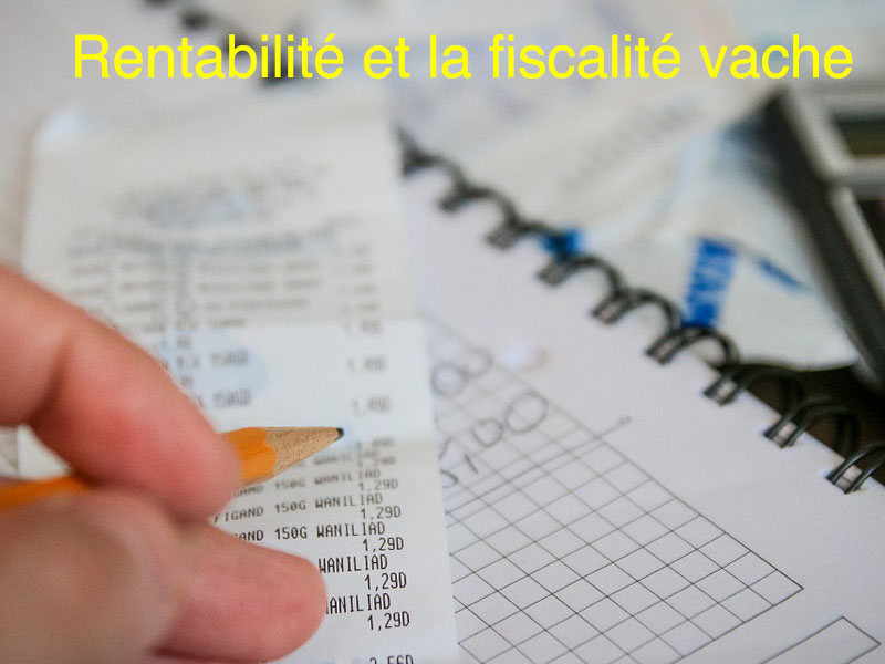 rentabilité fiscalité vache
