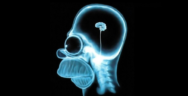stupide internaute