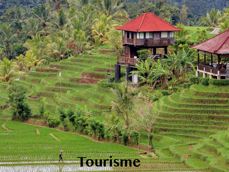 tourisme bali