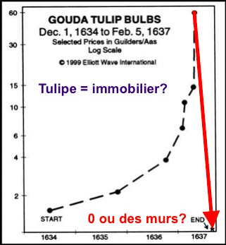 tulipomanie bulle immobilier france
