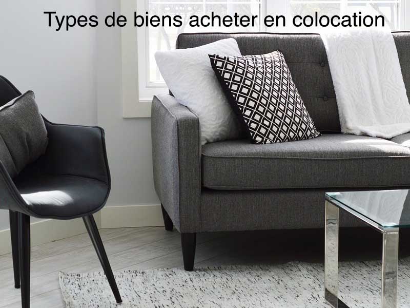 types de biens acheter en colocation