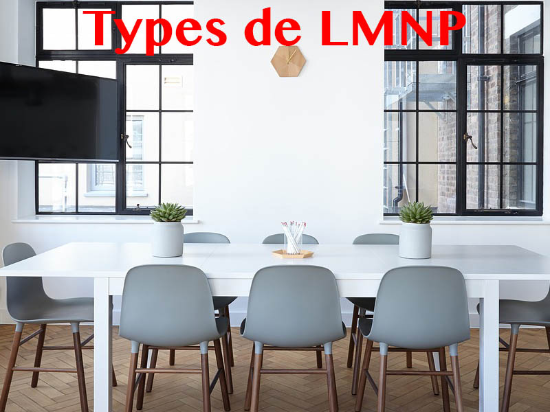types de lmnp